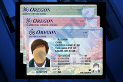 Oregon Licensing image 1
